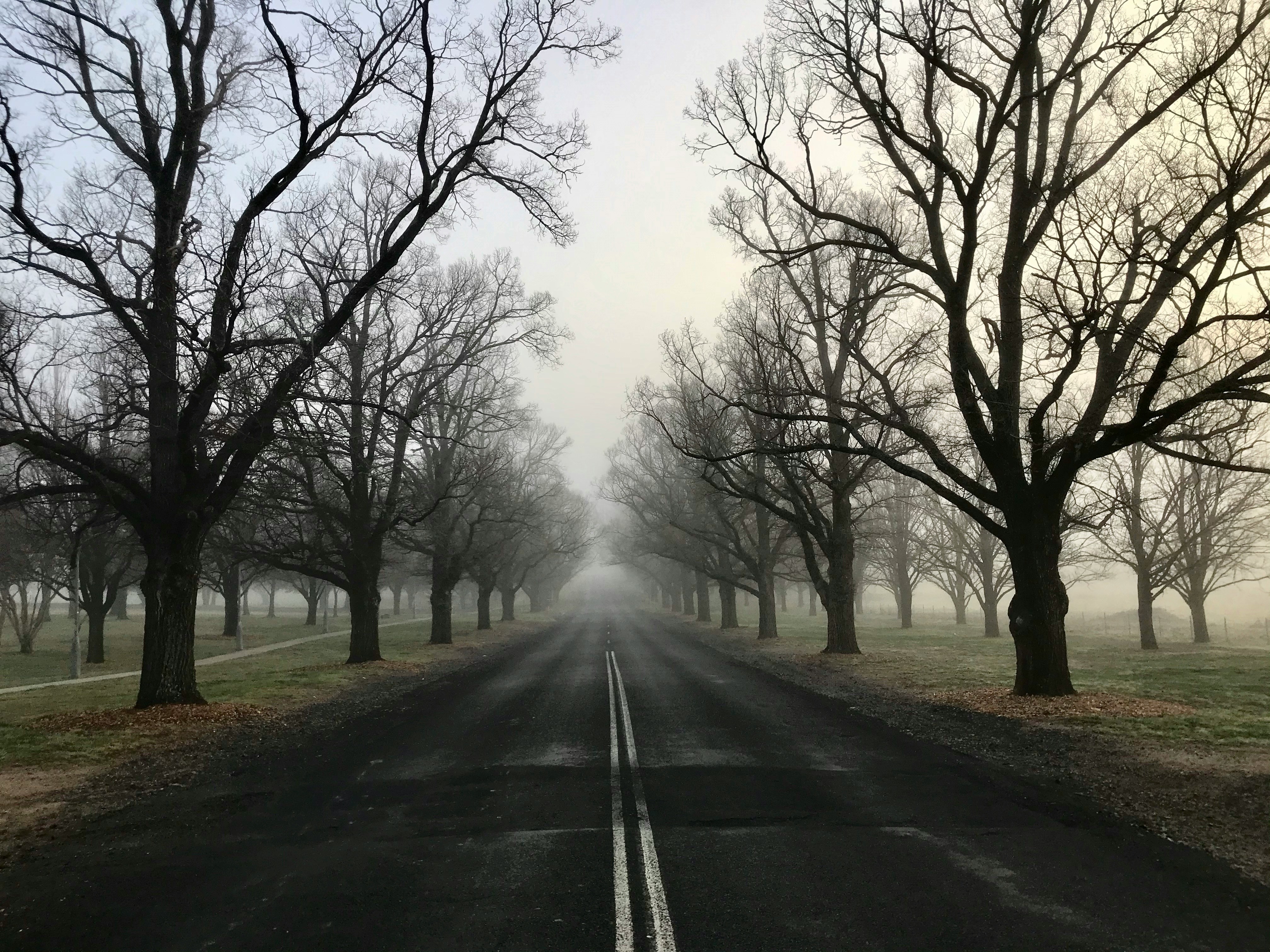 123,000 Layoffs, 54,000 Blamed on AI, and What It All Means for Your 2026 Career