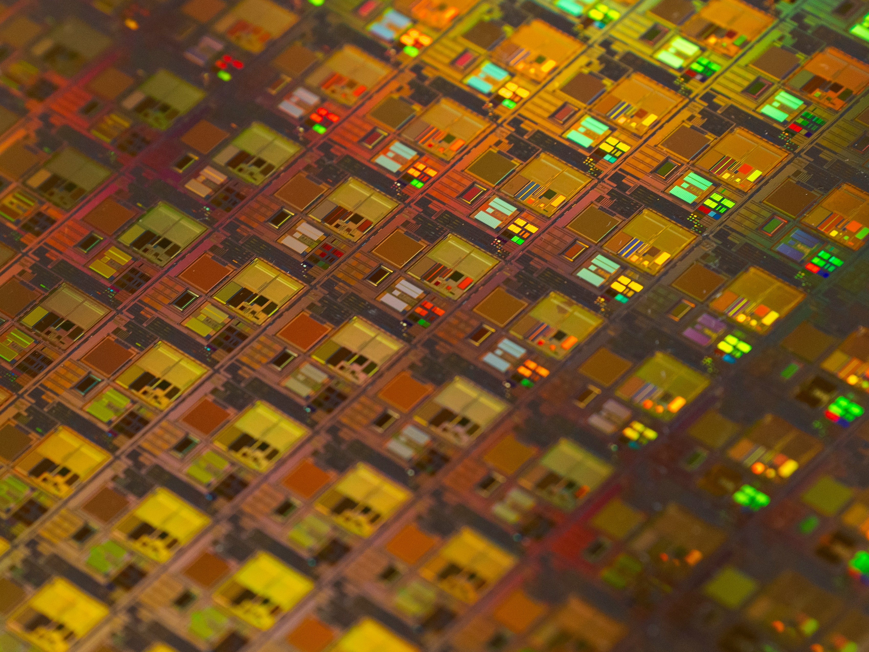 DeepSeek Just Wiped $560 Billion Off Nvidia: What the Open-Source AI Shakeup Means for Your Career