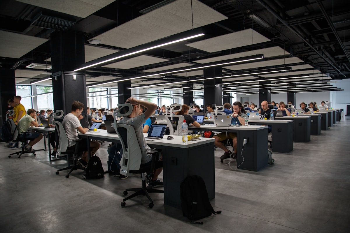So You Decided to Work in IT. Now What?
