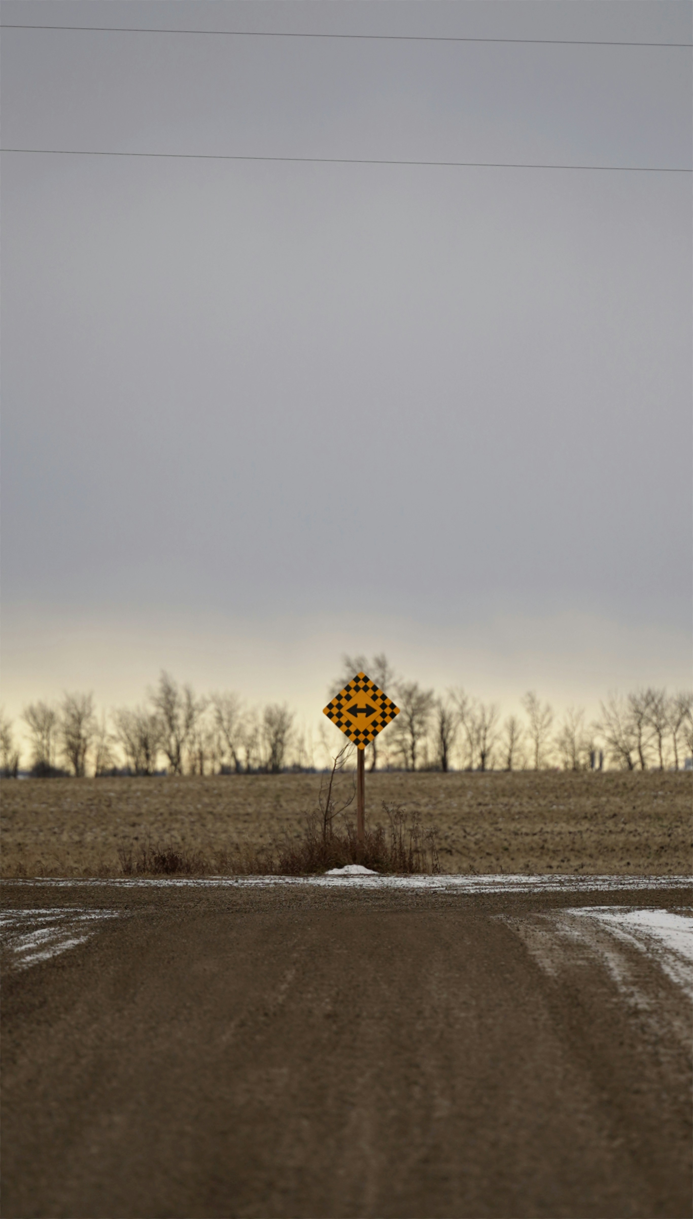 Should You Specialize or Stay a Generalist for a Recession-Proof IT Career