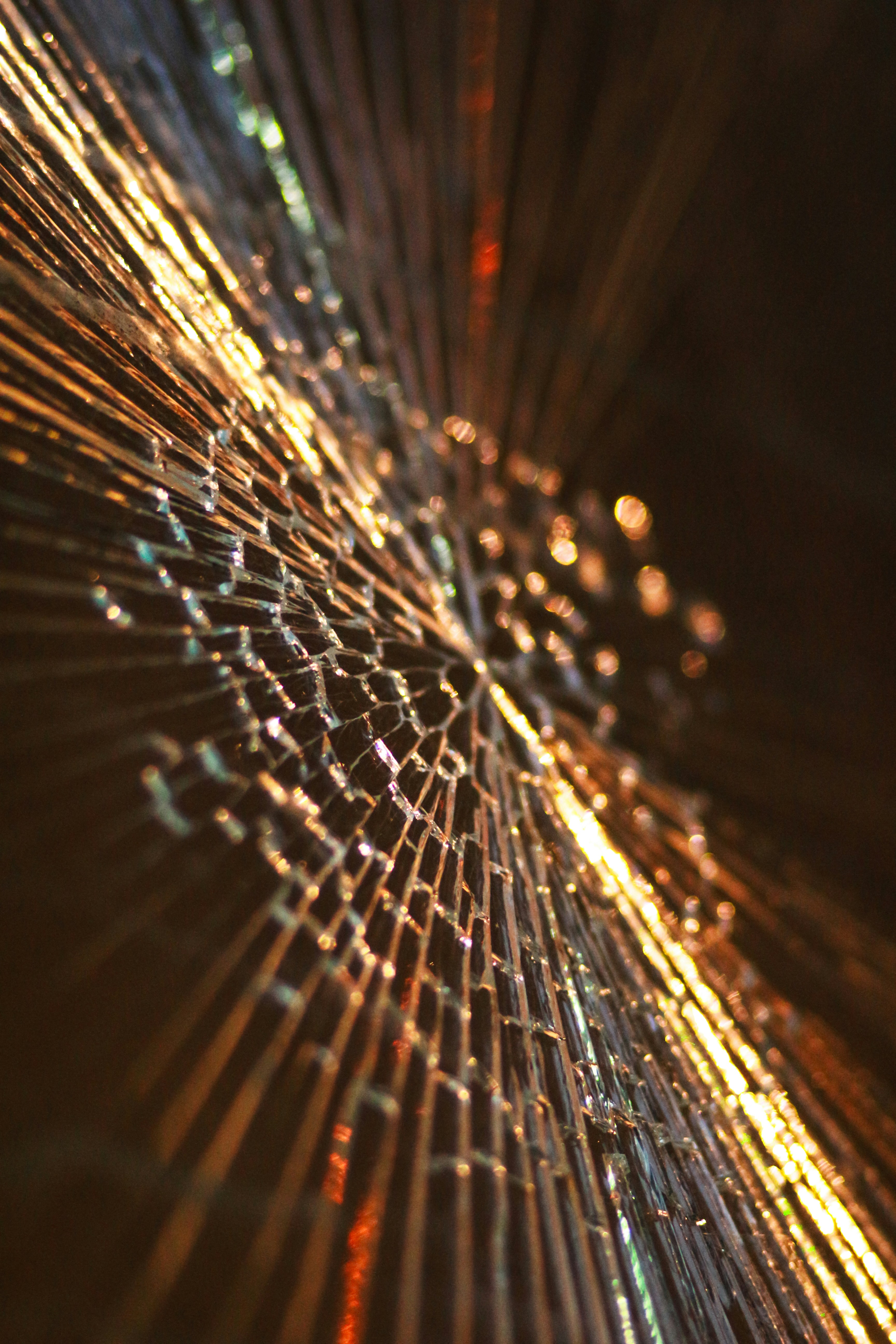 What the Twitter Chaos Teaches IT Professionals About Company Culture